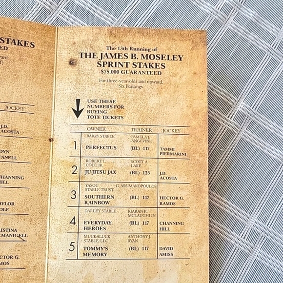 Suffolk Downs Horse Racing Official Stakes Program - July 10, 2010 - Picture 5 of 6